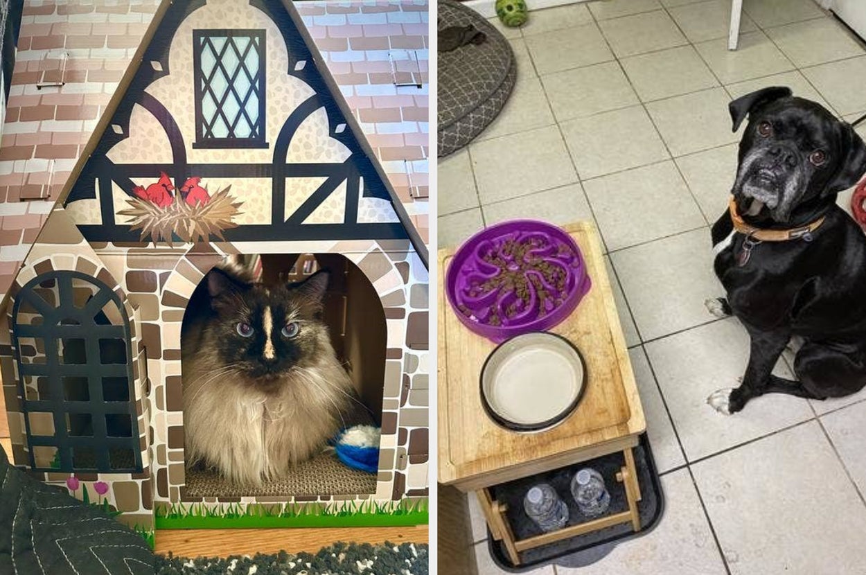 Two images of dogs with treat containers and calming accessories, featuring a treat dispenser and snacks