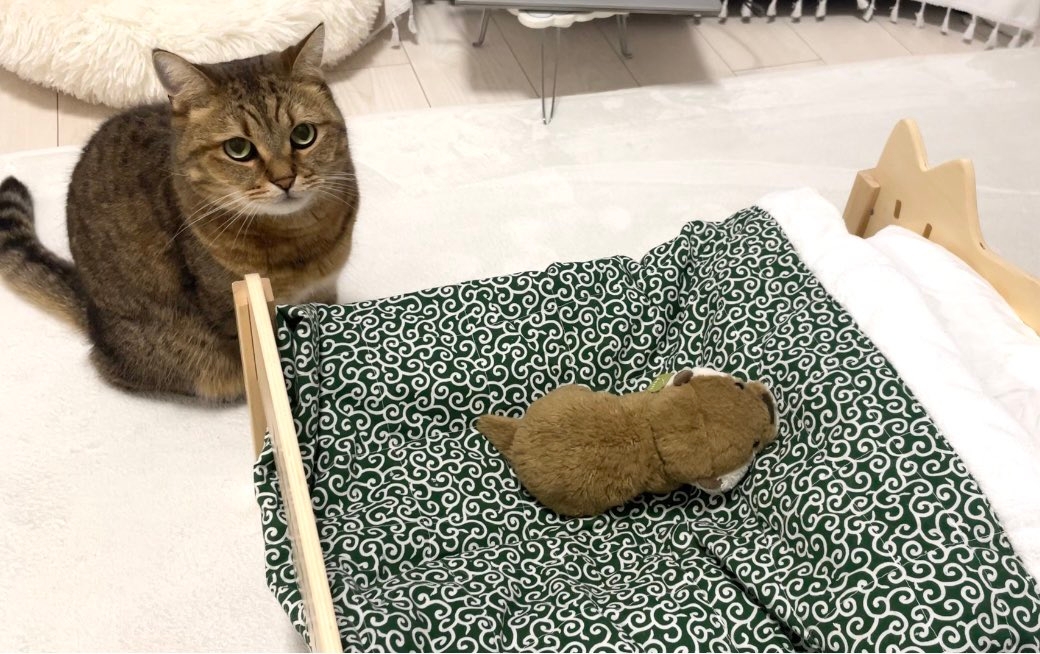 2コマ目、何かを訴えかけるような表情のみにら君 / みにら日記さんのXアカウント(@MiniraDiary)より