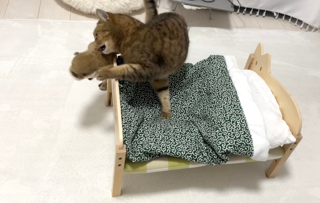 3コマ目、ぬいぐるみをどかすみにら君 / みにら日記さんのXアカウント(@MiniraDiary)より