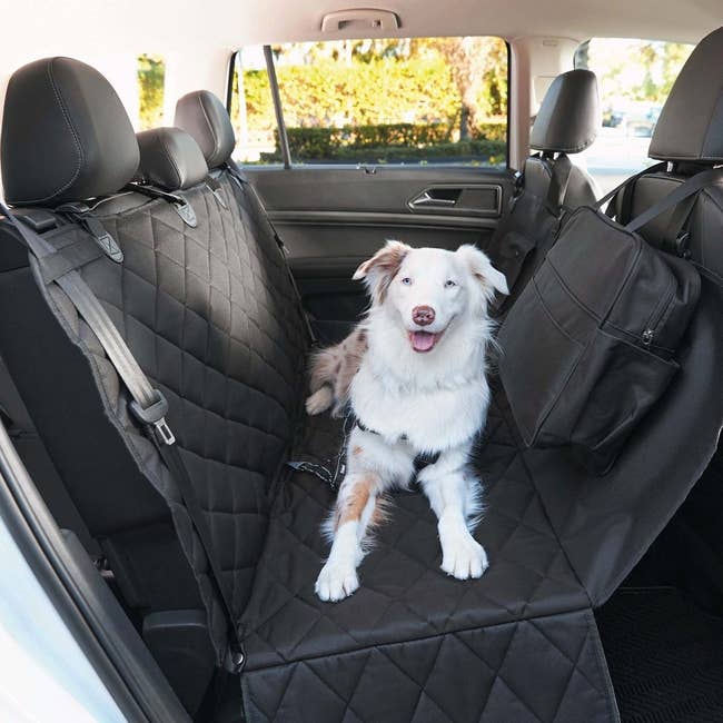 Dog sitting connected a quilted car spot screen successful the backseat of a vehicle, with favored accessories connected the side