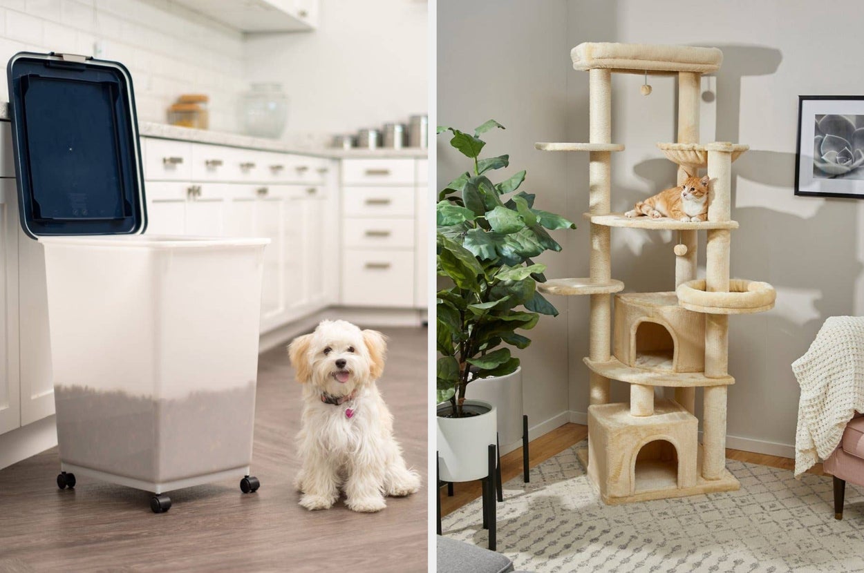 Three automated pet feeders in use, with two cats eating from them. Text highlights customizable feeding for pets' individual needs