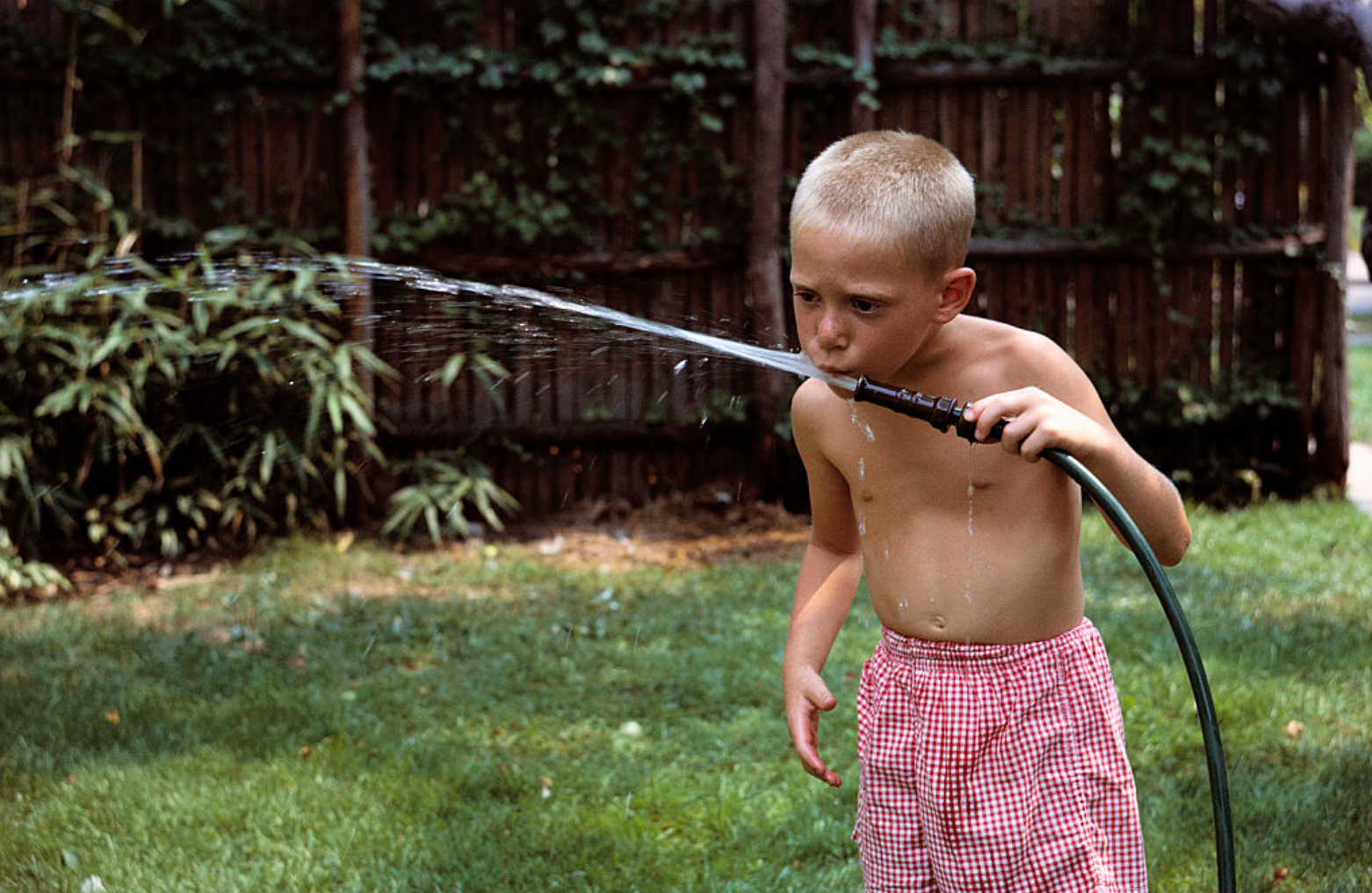 Child drinking from a hose in a yard, wearing checkered shorts