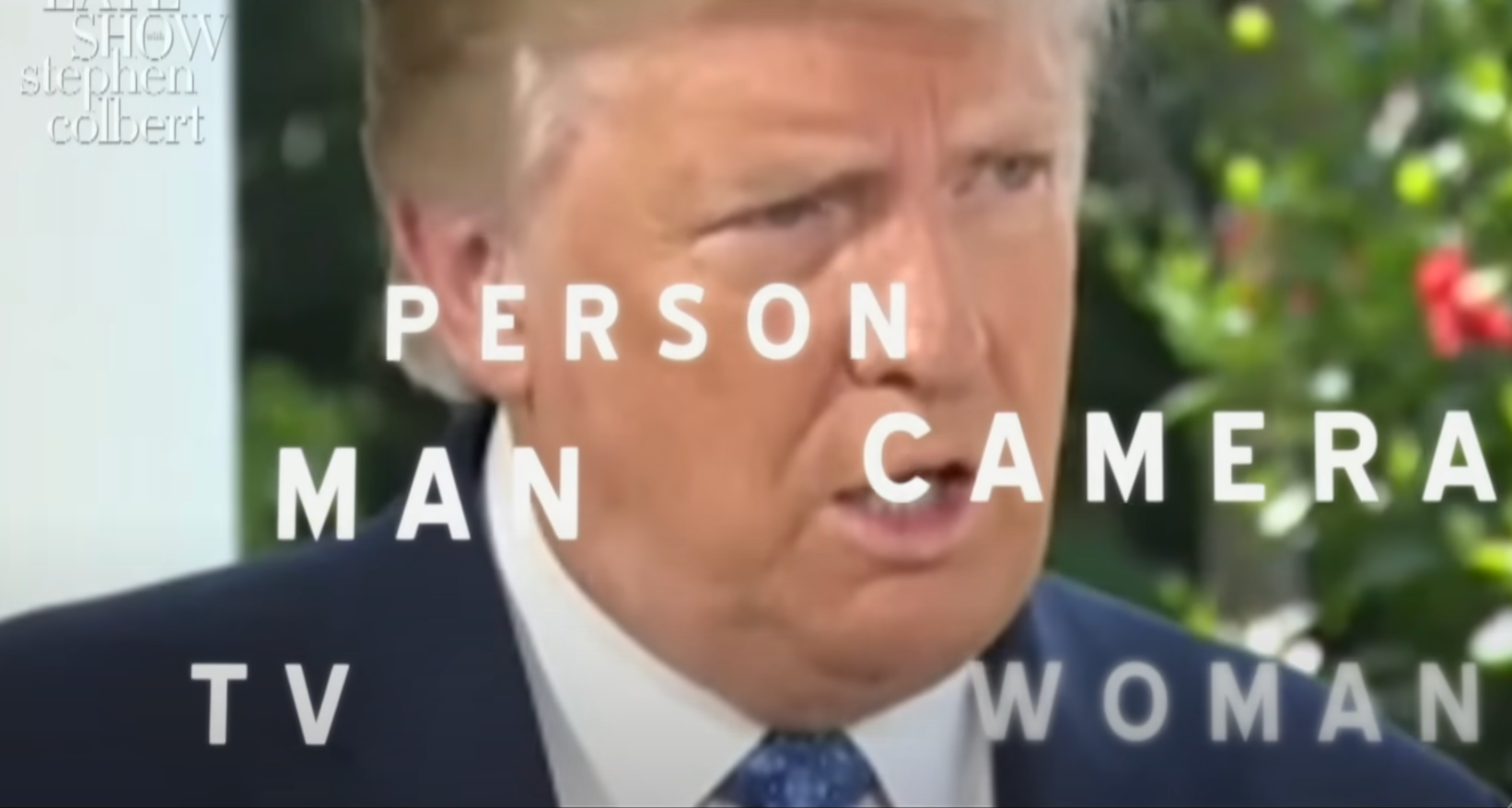 A man appears in a video interview, overlaid with the words: "Person, Man, Camera, TV, Woman."
