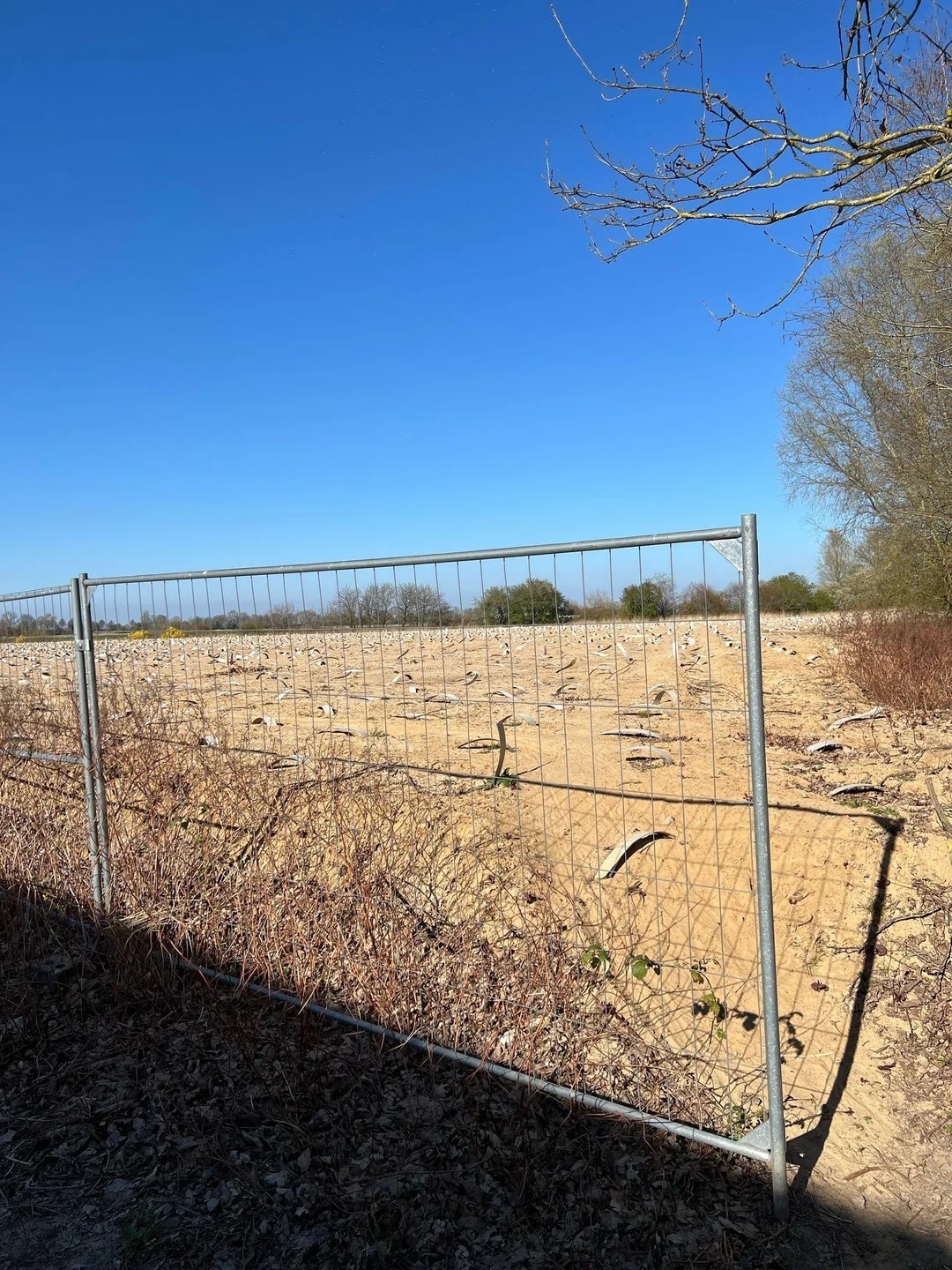 A barren, fenced-off landscape with scattered debris and dry shrubs under a clear sky
