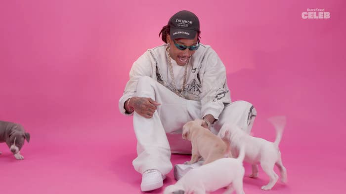 Person sits on a pink backdrop wearing casual white clothing and a cap, interacting playfully with several puppies
