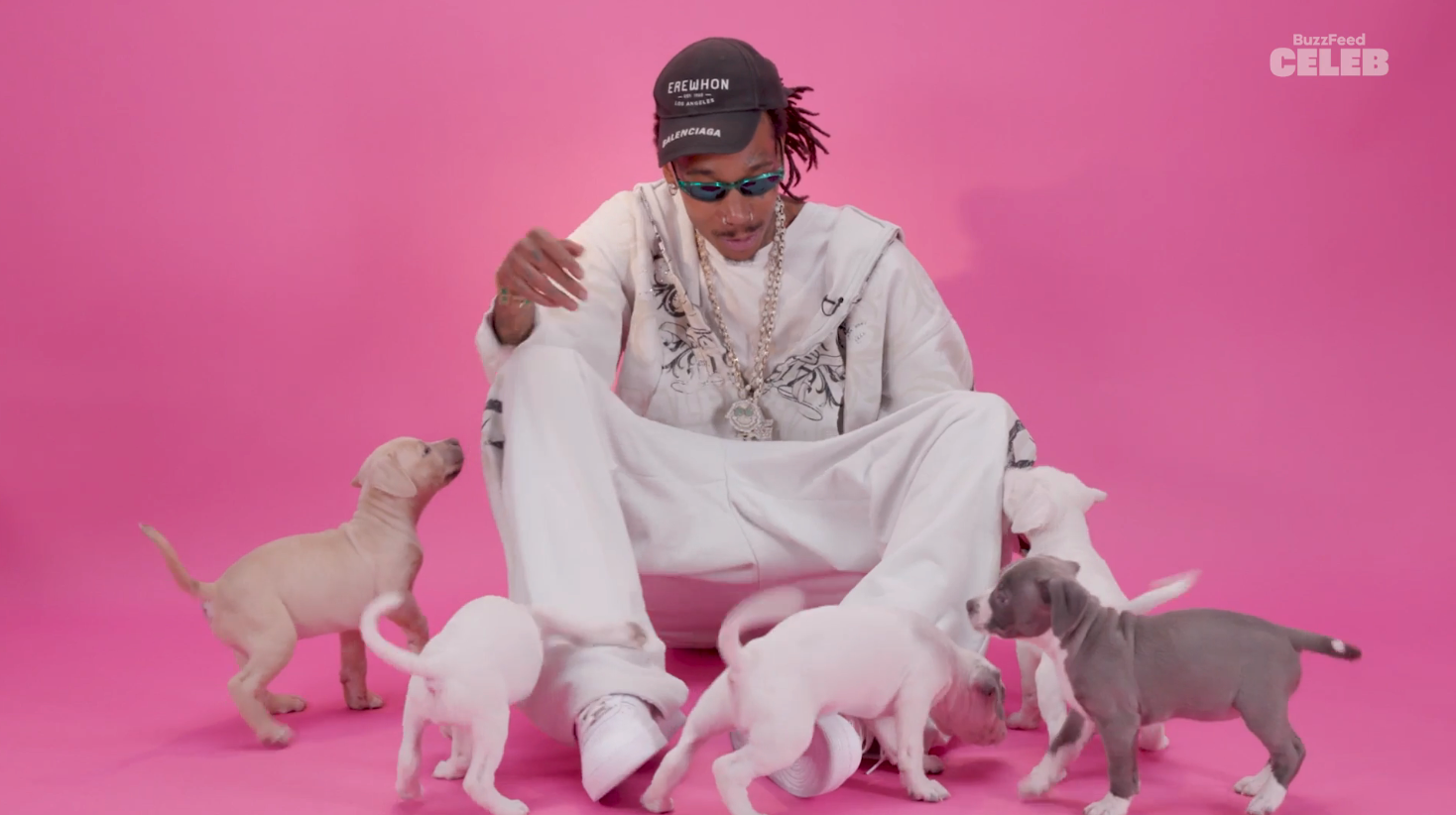 Celebrity in casual, stylish outfit sits with playful puppies on a pink background