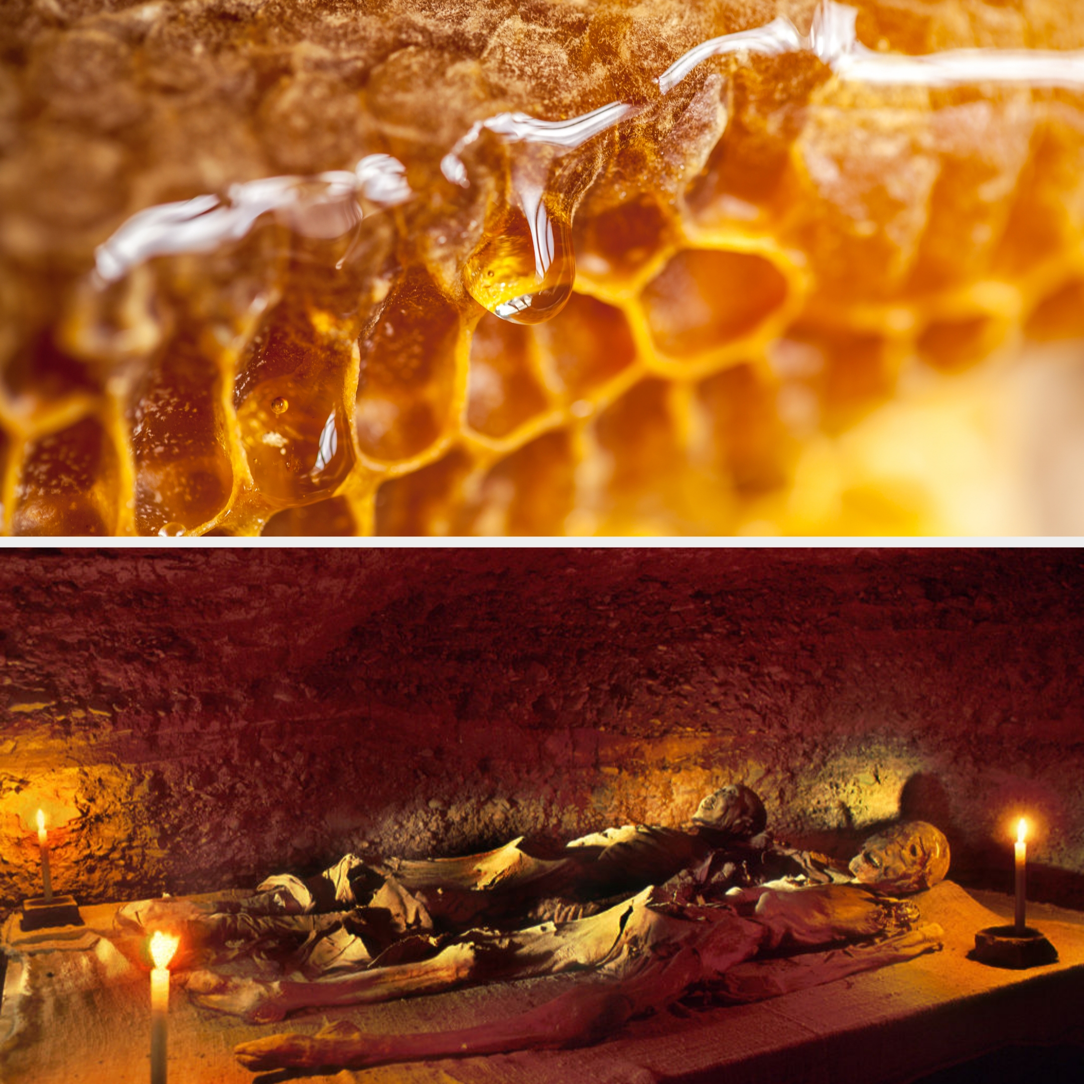 Close-up of a honeycomb with droplets, and below, an ancient tomb with mummified figures surrounded by candles