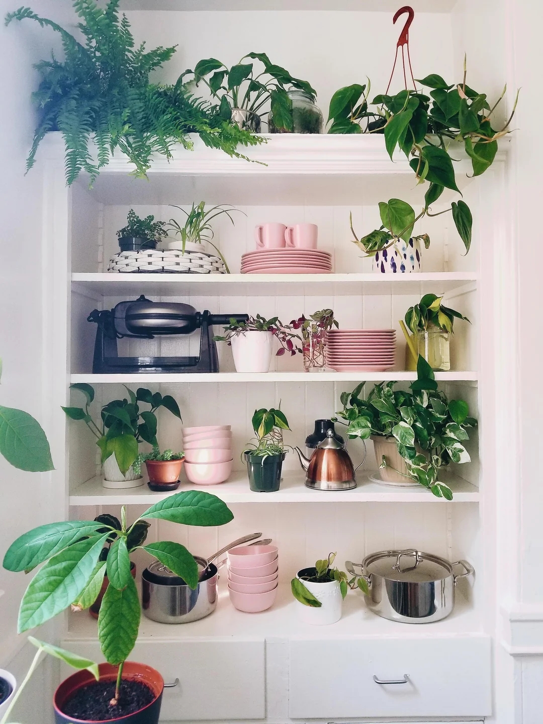 Shelves with various houseplants, pink dishes, a copper kettle, and an electric pan, creating a cozy kitchen display