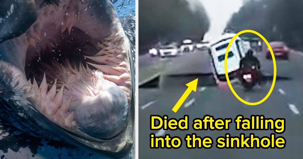 23 Horrifying, Shocking, And Terrible Things I Learned This Month