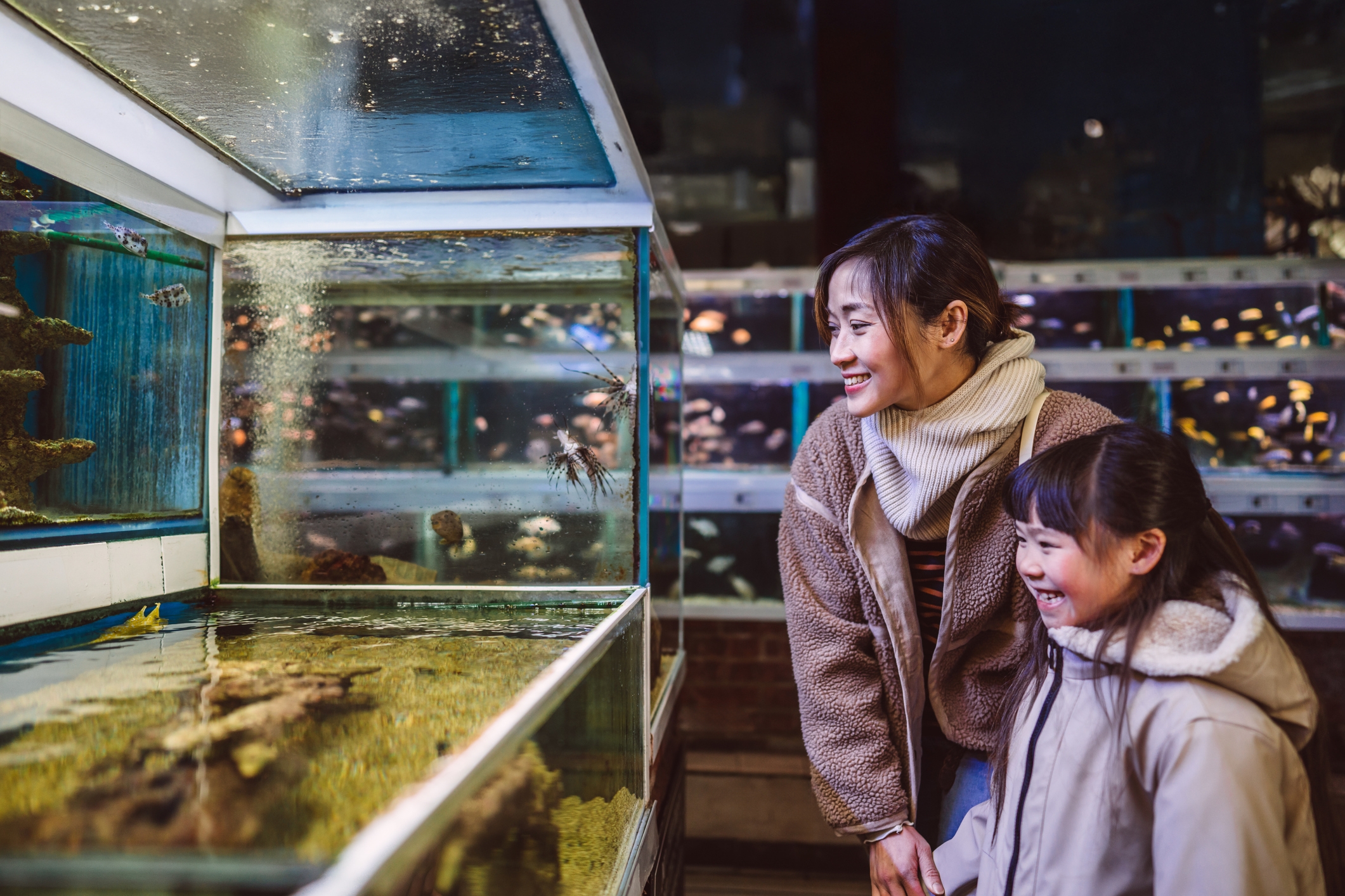 Two people smiling and observing aquatic animals in a display tank at an aquarium