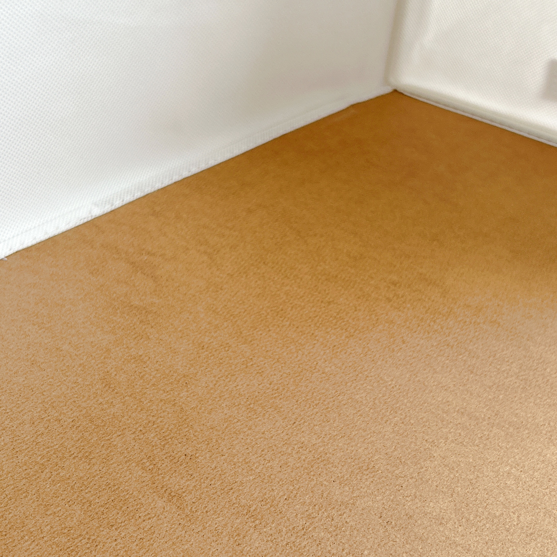 CAINZ(カインズ)の「透明窓付きケース shuhaco ホワイト 60×40×32cm H30」