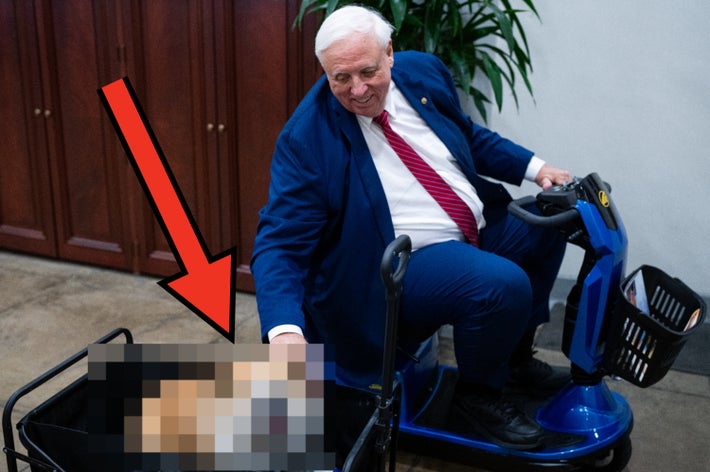 シニア男性がスクーターに乗り、カートに乗ったブルドッグの頭を優しく撫でている。