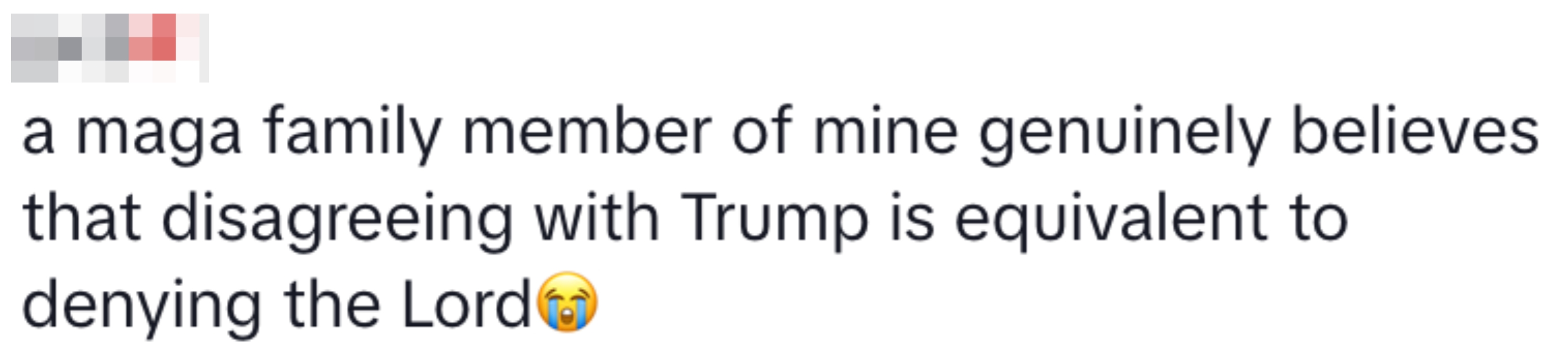 Screenshot of a social media post stating a user's MAGA family member equates disagreeing with Trump to denying the Lord, with emojis