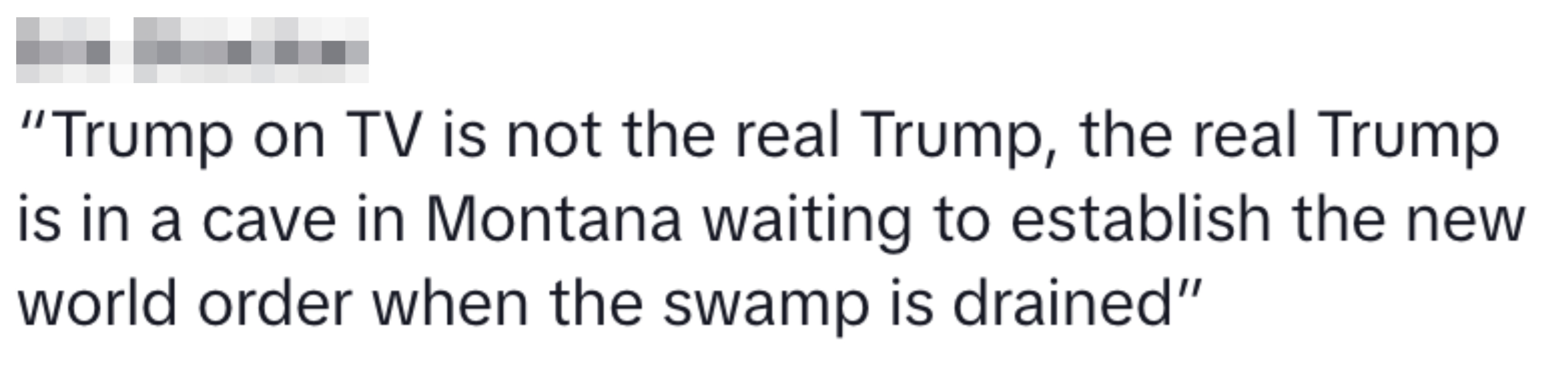 Summary of text: Erin Strachan claims the real Trump is in a Montana cave, ready to form a new world order once the swamp is drained