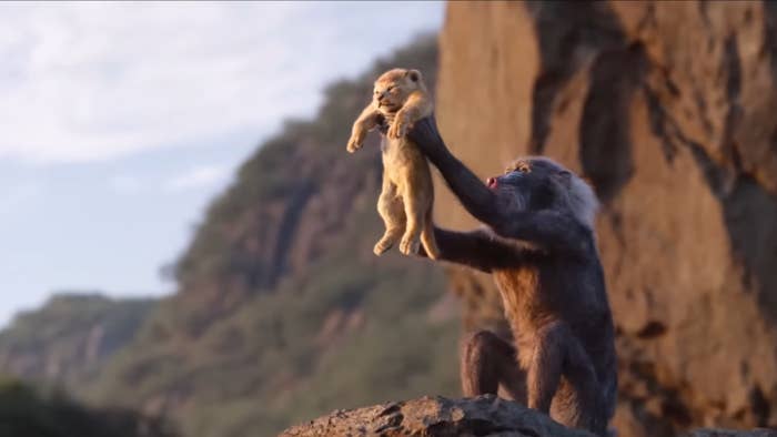 Baboon holding a lion cub up on a rock, reminiscent of a scene from "The Lion King."