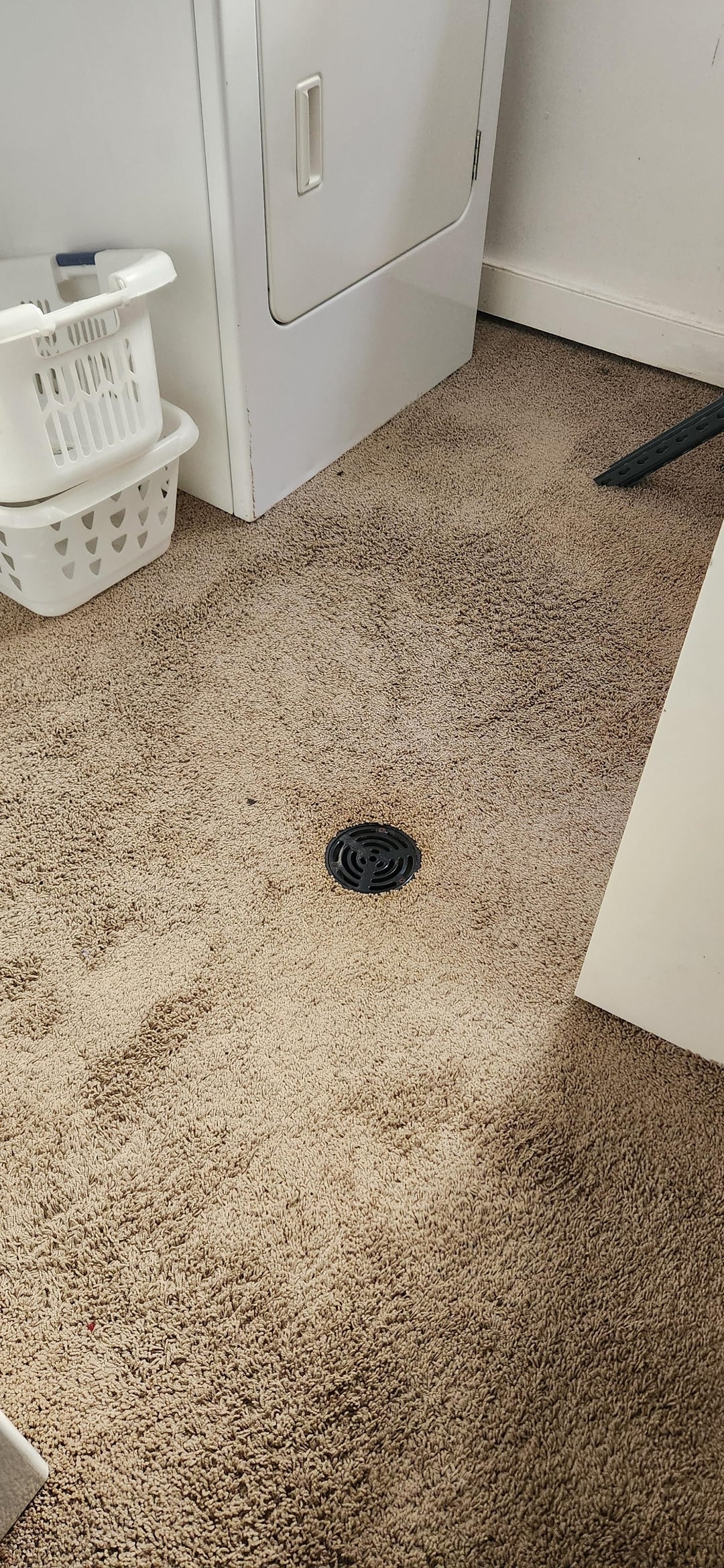 Carpeted laundry room floor with a drain in the middle