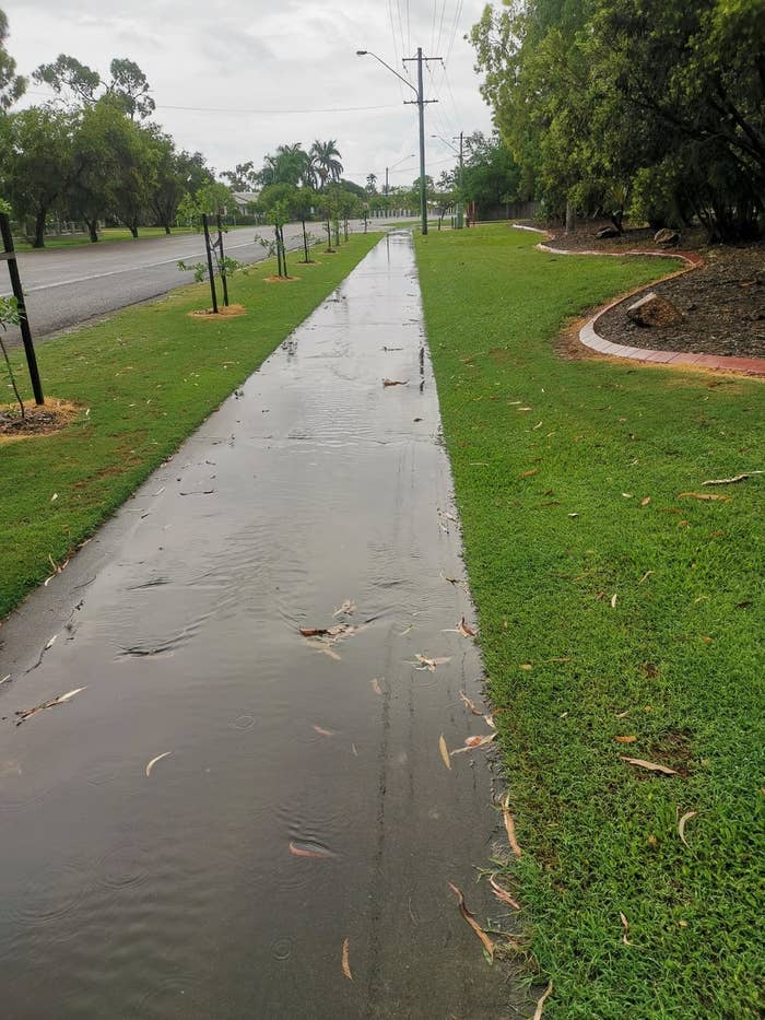 Rainwater covering a sidewalk, with trees lining the path. Overcast sky and wet conditions suggest recent rainfall
