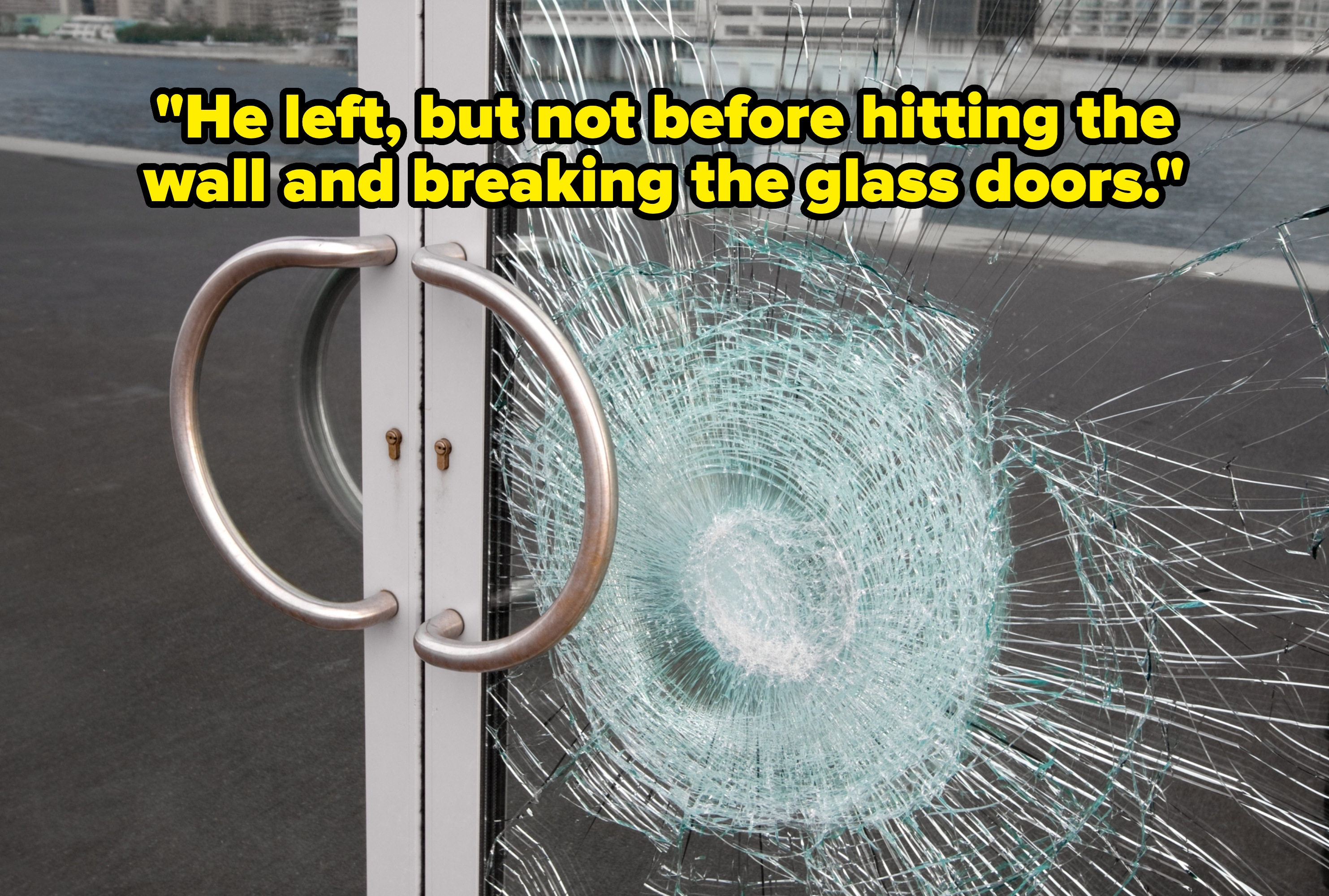 Glass door with a large spider-web crack, likely from impact. Silver handles are visible. Urban landscape with water and buildings in the background