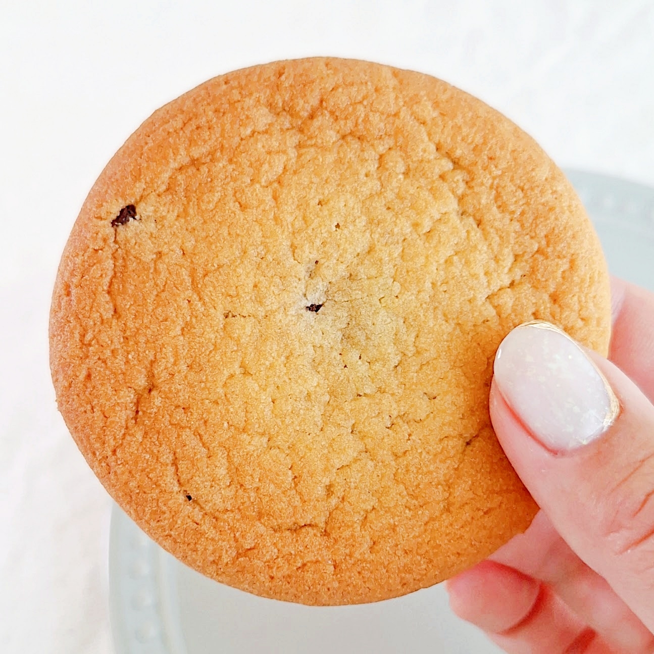 人がクッキーを持っている様子。クッキーは丸くて焼き色がしっかりしている。