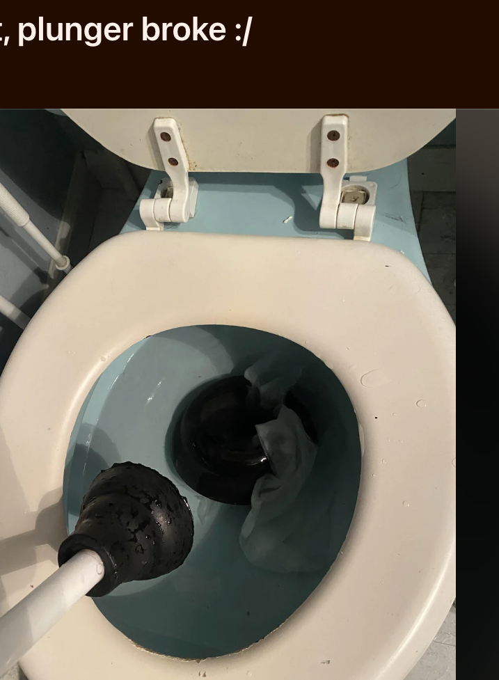 A broken plunger stuck in a toilet, shared on Reddit. The image is part of a post about work frustrations