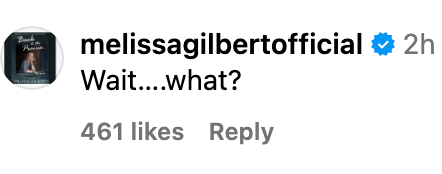 Instagram comment by a verified user, Melissa Gilbert, saying, "Wait….what?" with 461 likes
