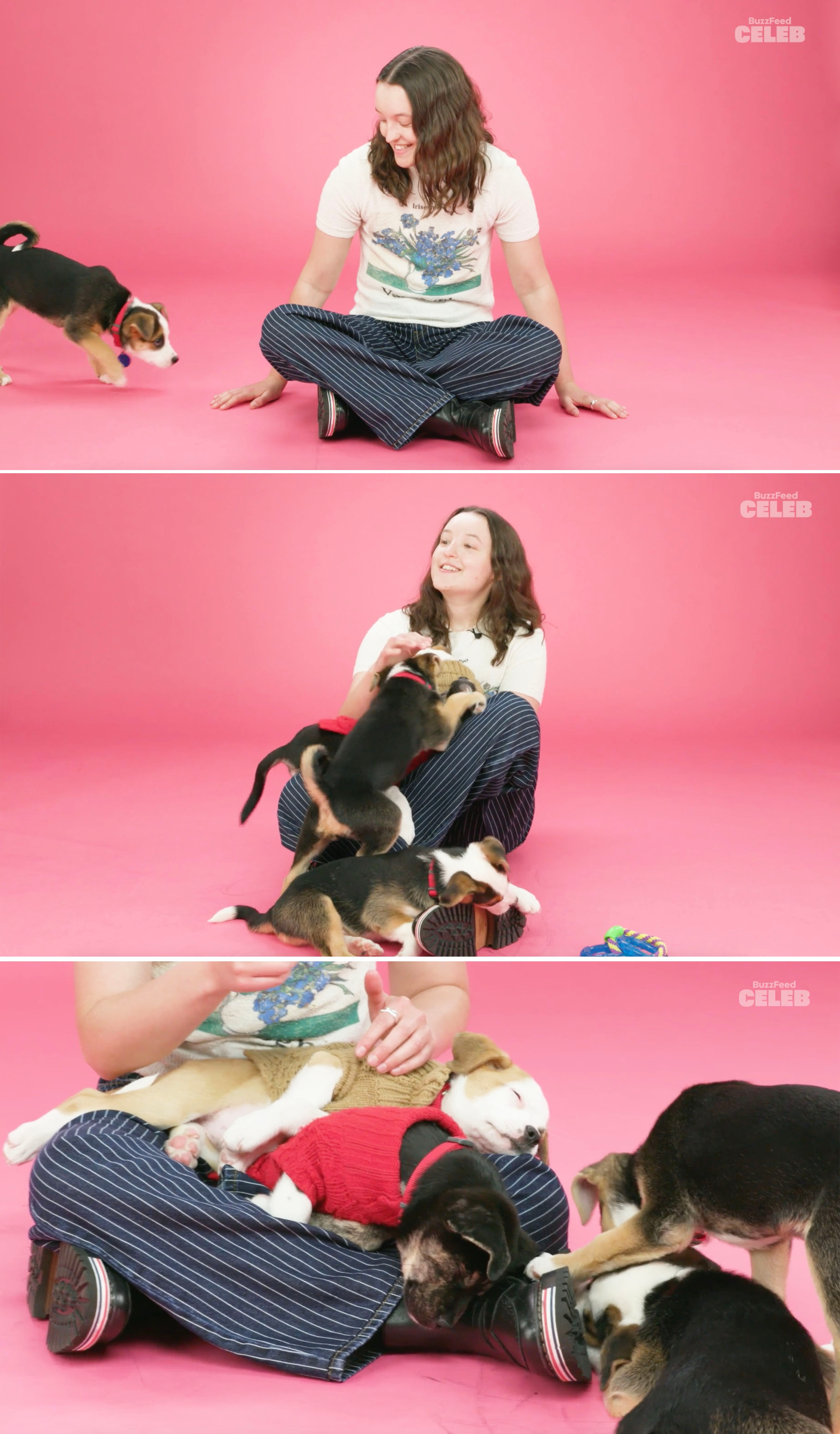 Bella Ramsey in casual attire playing with several puppies in a studio