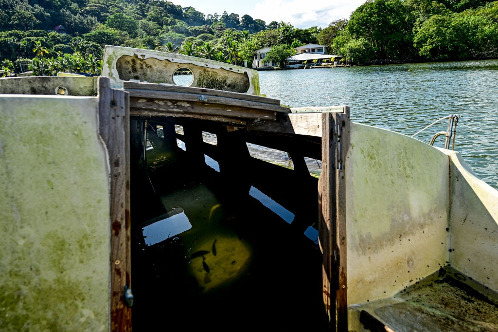 Partially submerged, abandoned boat on a serene lake with lush trees and a distant house in the background. Fish swim in water inside the boat