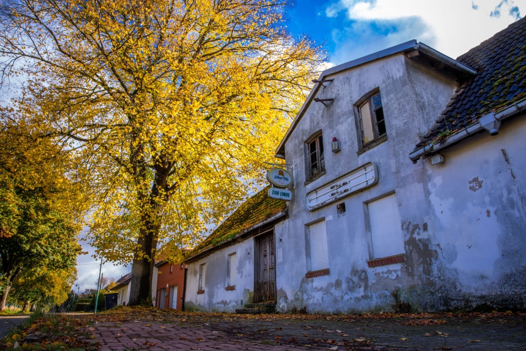 An old, weathered building with a rustic sign next to a large tree with autumn leaves, set along a brick-paved path