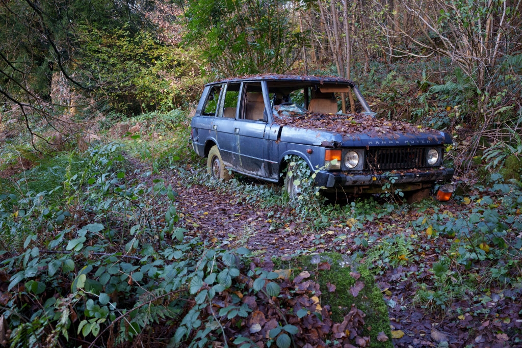 Abandoned car overgrown with plants in a forest setting, partially covered in leaves, suggests neglect and nature reclaiming the vehicle