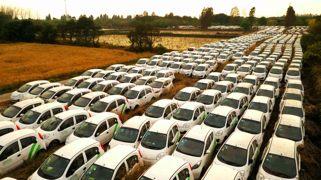 Hundreds of identical cars lined up in an expansive field, next to trees and grass