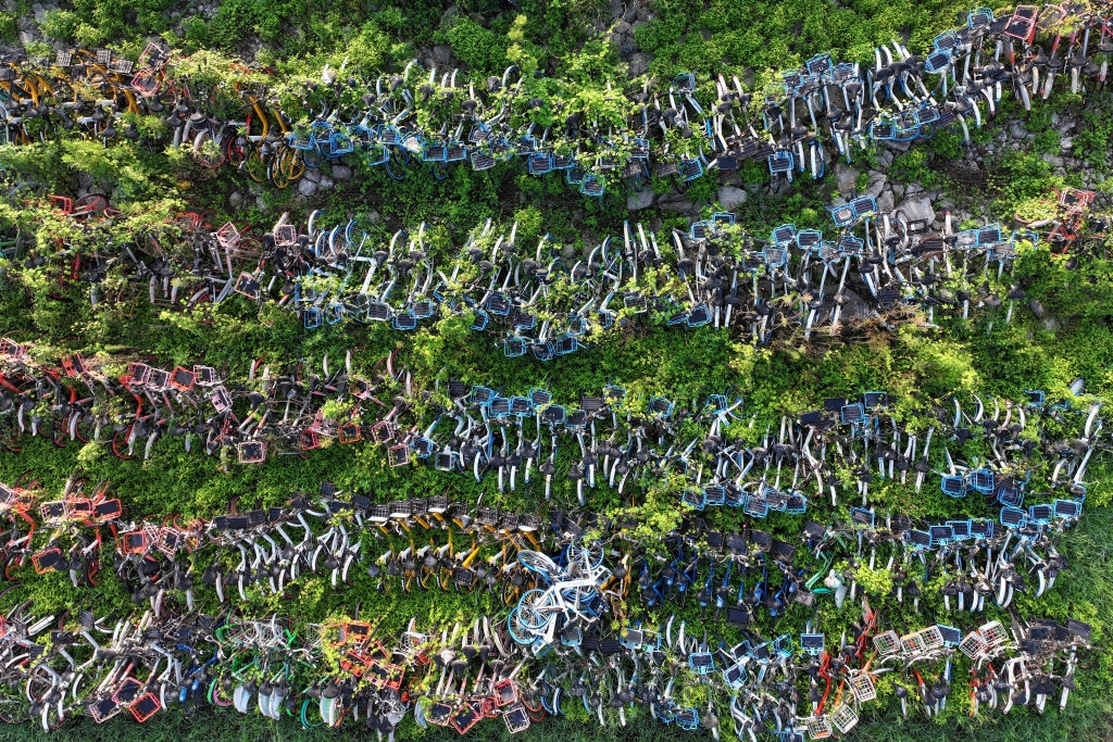 Hundreds of bikes abandoned in rows, partially covered by overgrown grass and plants in an outdoor area, viewed from above