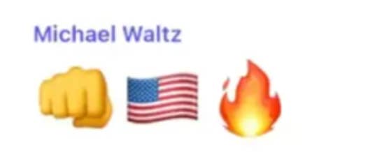 Text &quot;Michael Waltz&quot; followed by fist, American flag, and flame emojis