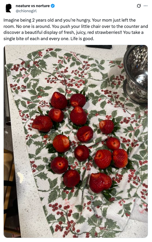 Text of a tweet describing a child's curiosity leading to eating fresh strawberries on a festive cloth
