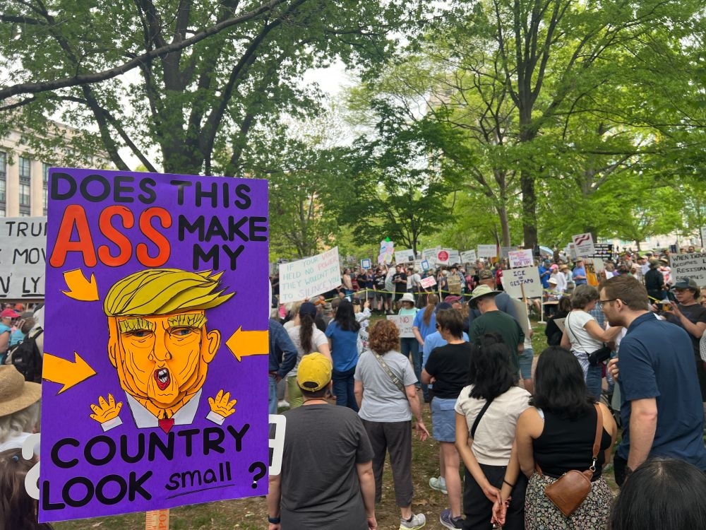 A protest sign with a caricature of a politician reads, "Does this ass make my country look small?" in a crowd of demonstrators