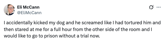 Tweet by Eli McCann: Accidentally kicked his dog, who reacted dramatically, leading to humorous guilt from Eli, wishing for imprisonment without trial