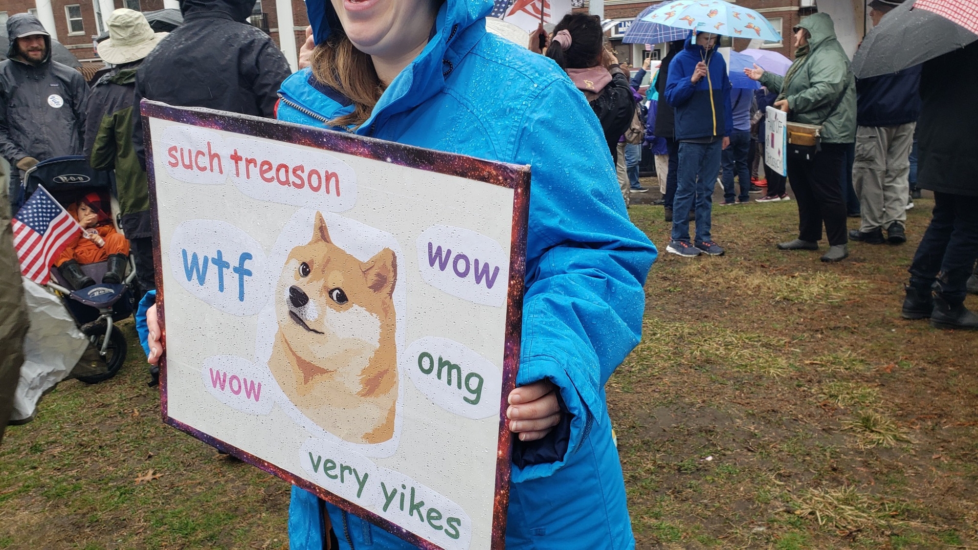 Person holding a sign featuring a popular meme dog with text: "such treason, wtf, wow, omg, very yikes" at a crowded outdoor event