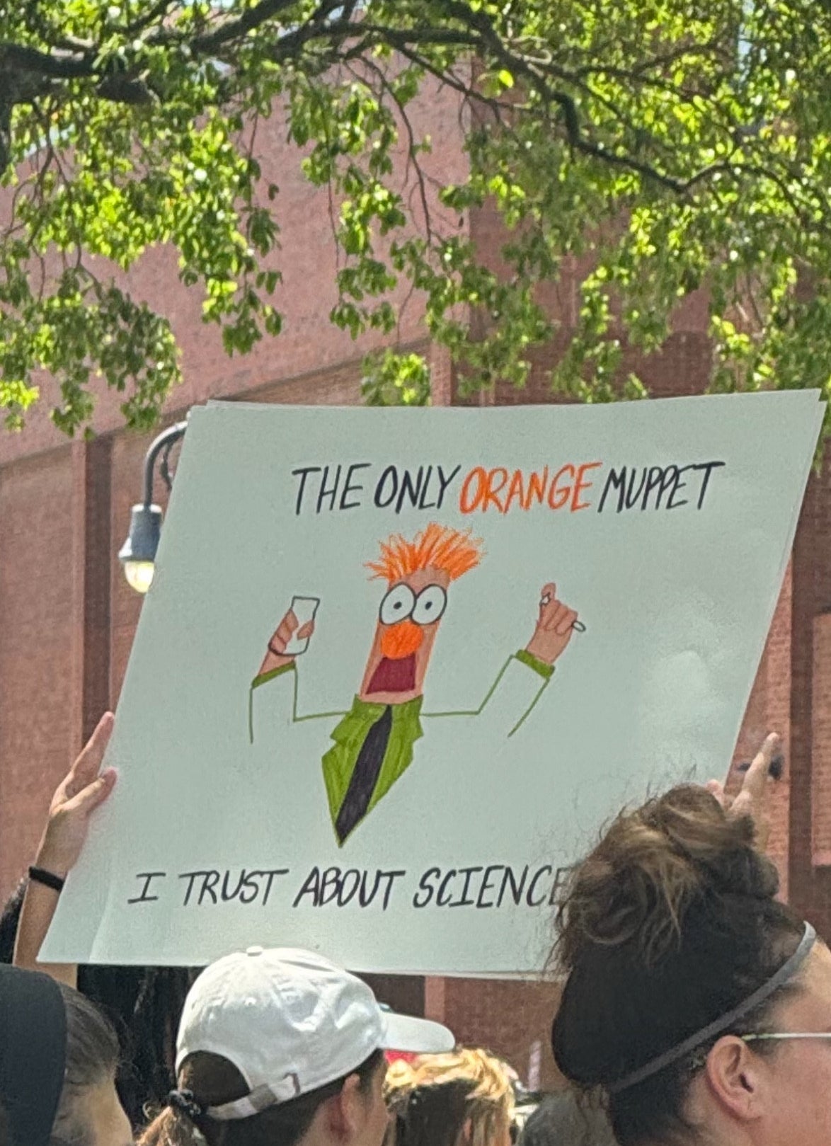 Protester holding a sign with a cartoon character and text: &quot;The only orange Muppet I trust about science&quot;