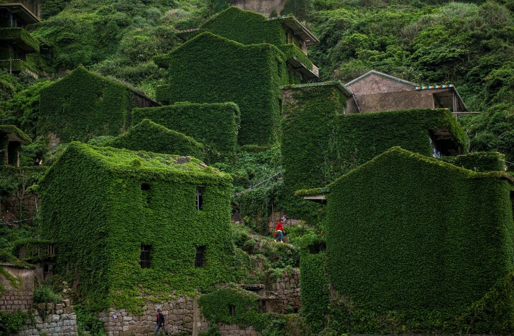 Houses covered in dense green foliage on a hillside, blending with the lush surrounding landscape. A small path winds through the area