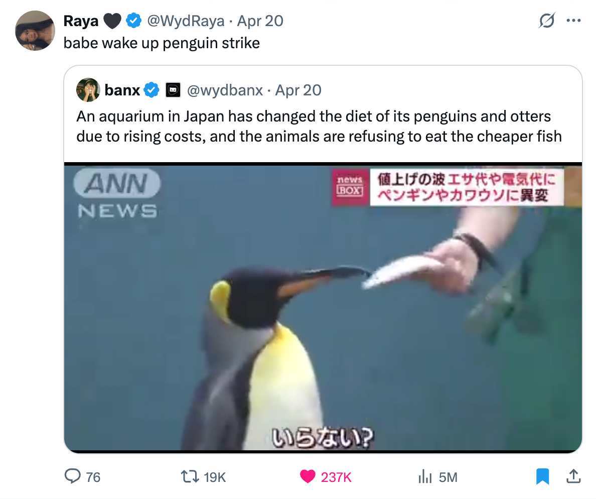 A tweet showing a penguin refusing food, with text about Japanese aquarium animals rejecting cheaper fish