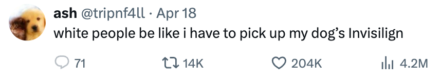 Tweet from a user named Ash reads: "white people be like i have to pick up my dog's invisilign" with engagement stats shown below