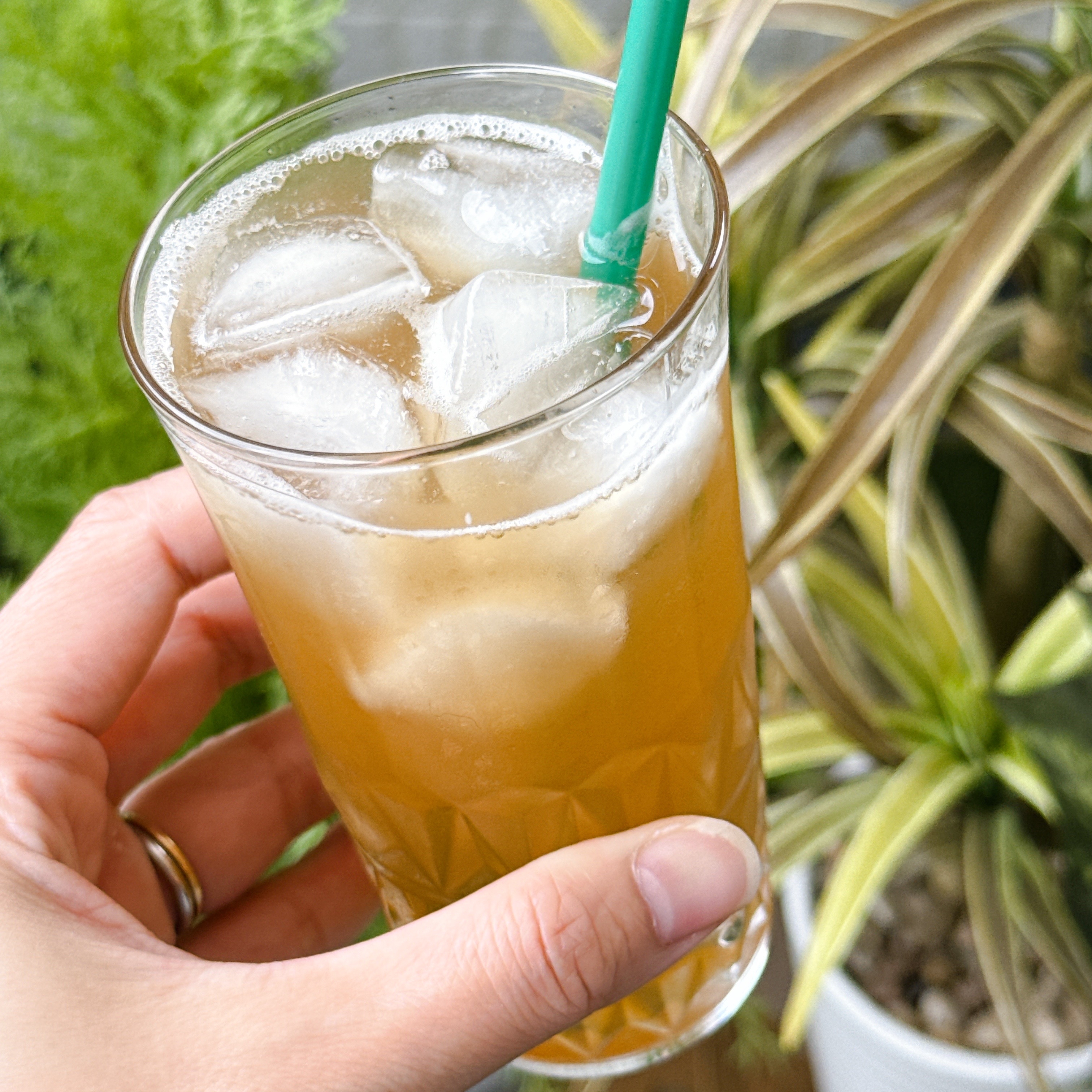 カルディ「台湾果実茶ベース 烏龍茶&パイナップル 500ml」