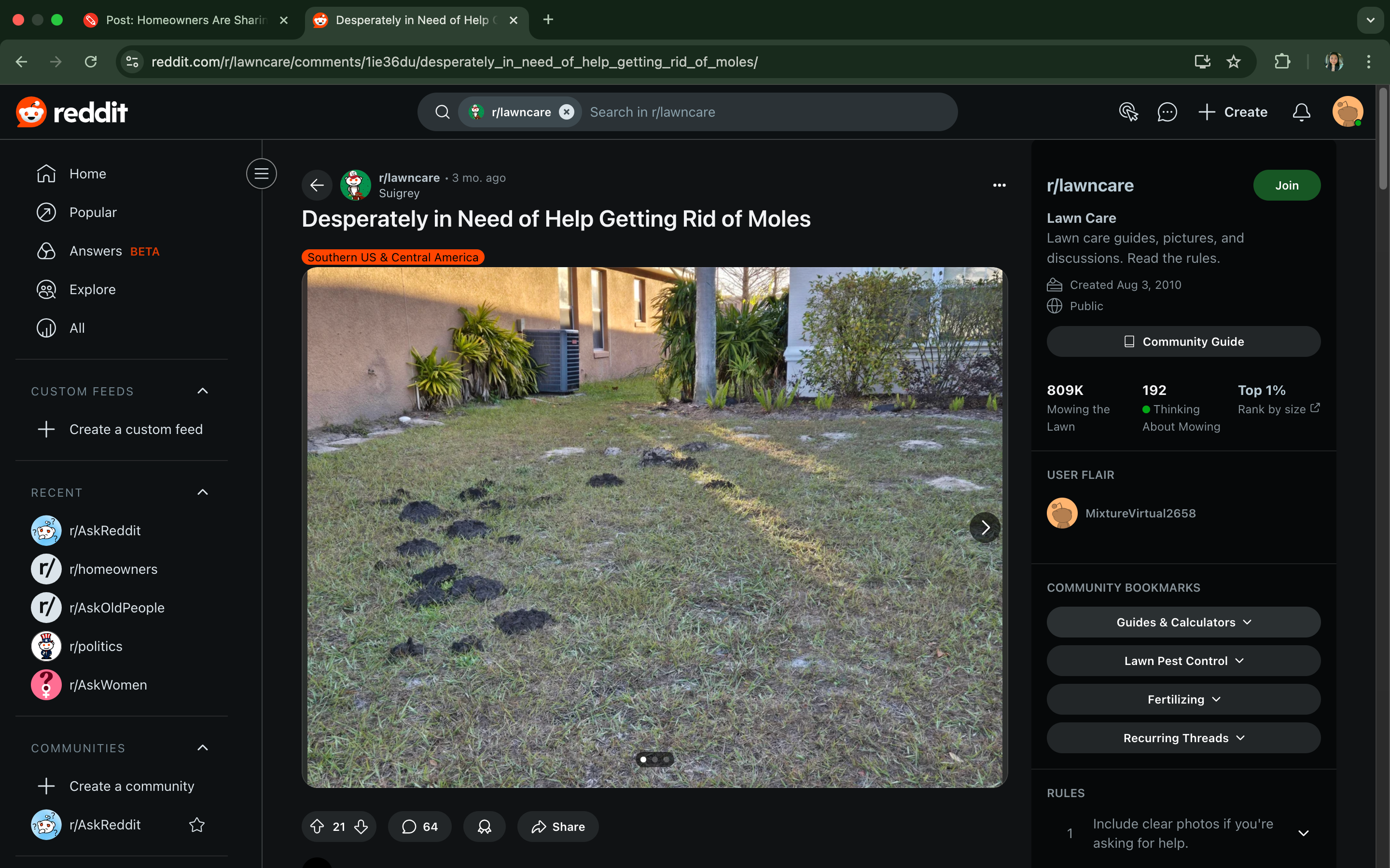 Reddit post by user "slamcesar" showing a lawn with several molehills, asking for advice on mole removal