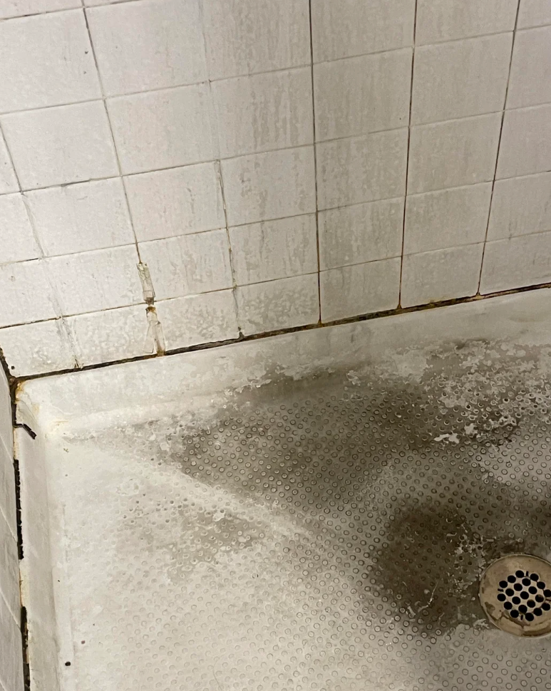 Shower corner with new grout and caulk; shows significant improvement from previous condition with clean tiles and repaired edges