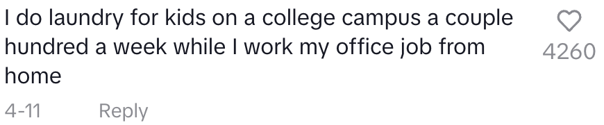 Comment about doing laundry for college kids while working a remote office job