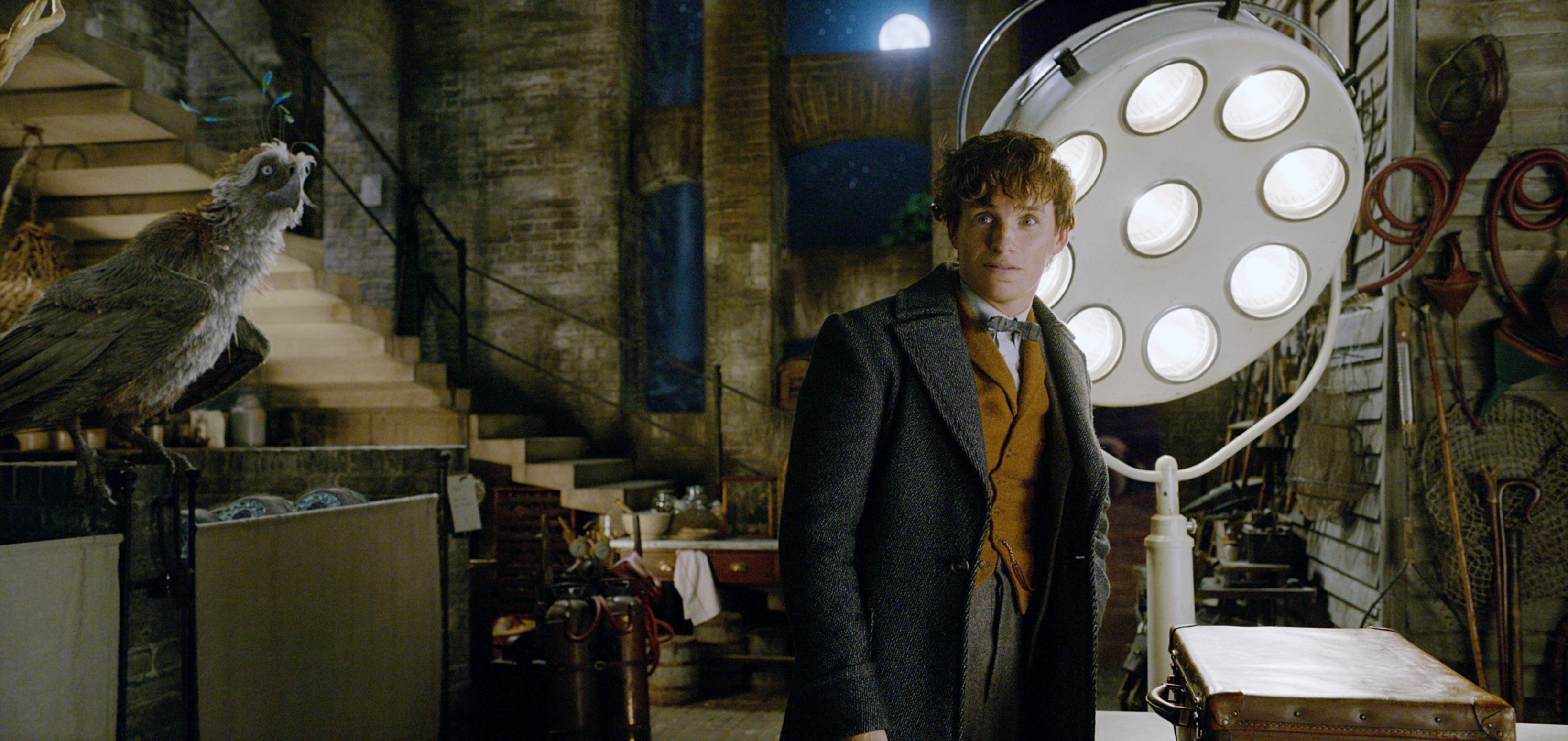 Scene from a film showing a person in early 20th-century clothing in a dimly lit room with vintage medical equipment and a bird