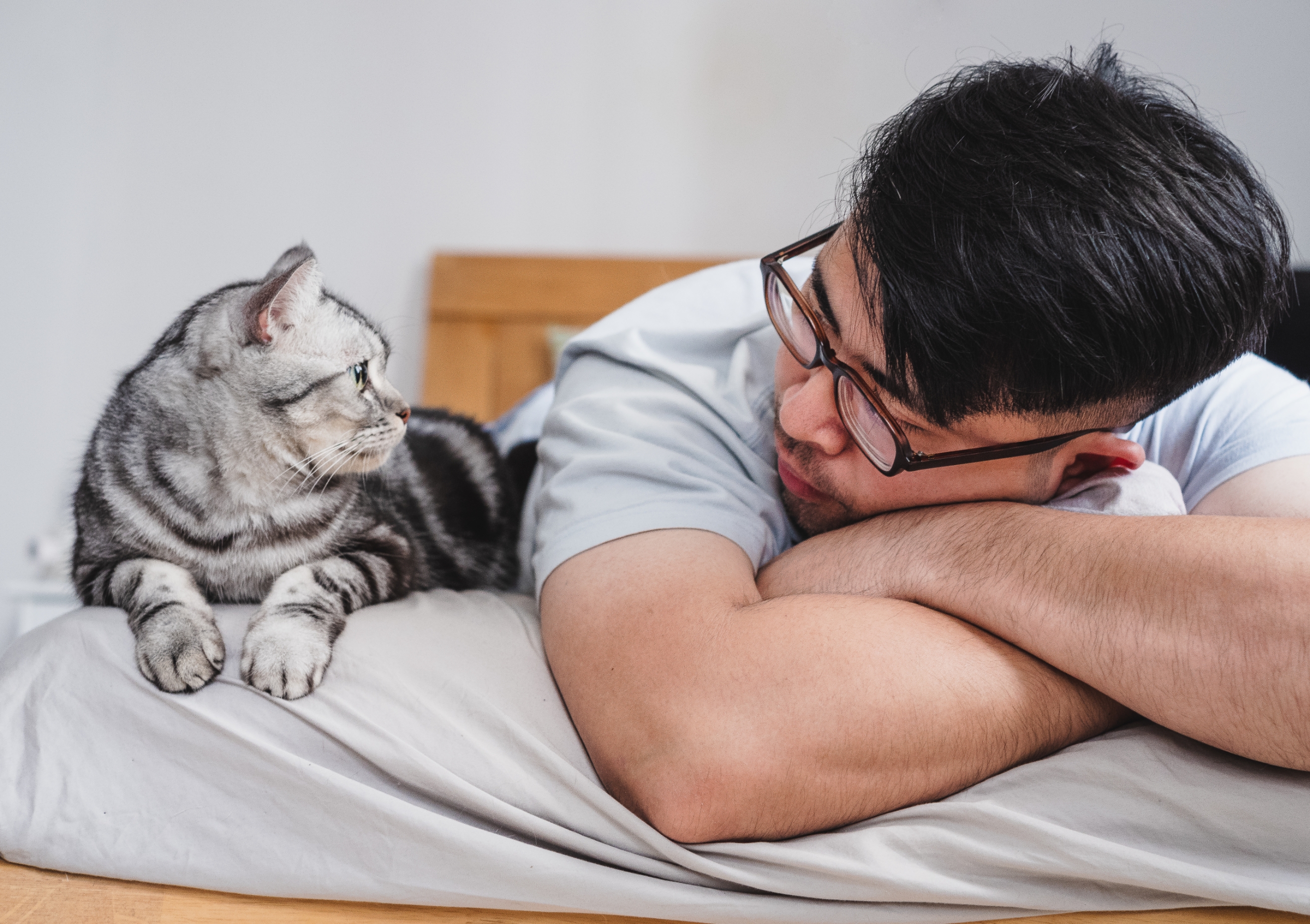 Person lying on bed facing a cat; both appear to be looking at each other attentively
