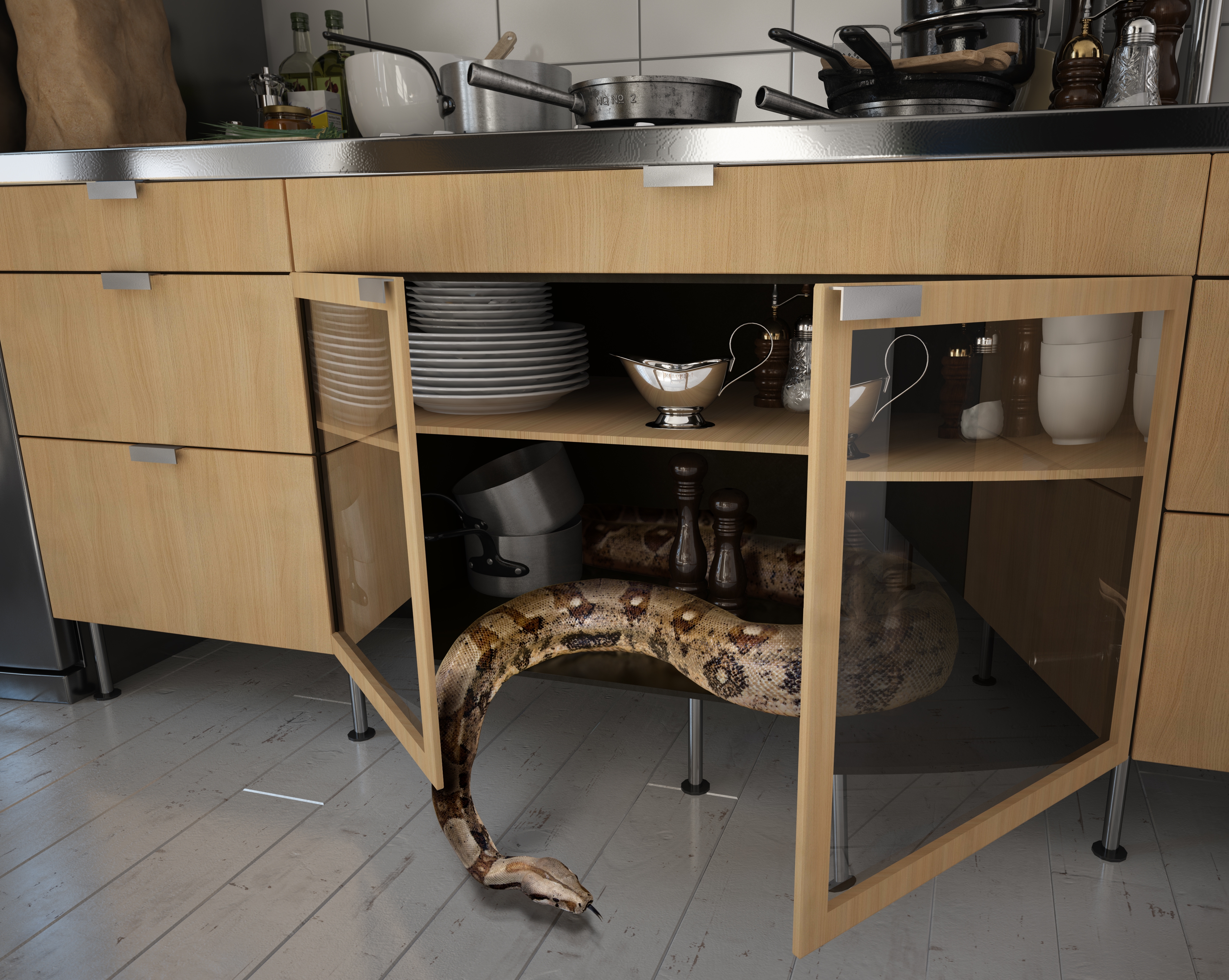 A large snake is coiled inside an open kitchen cabinet among dishes and utensils, slithering out onto the floor
