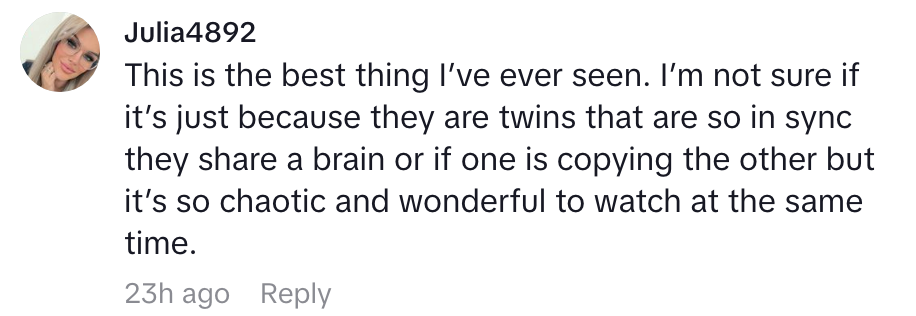 Comment about twins being in sync and entertaining to watch, described as chaotic and wonderful