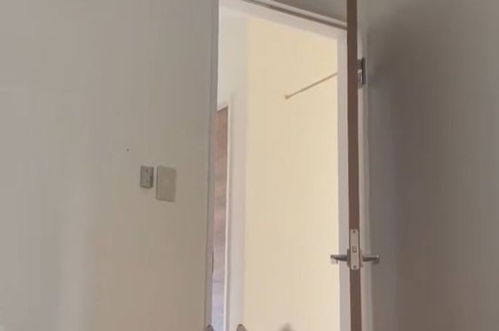 飛び掛かる寸前の珀くん / 飼い主さん（@husky_0319）のXアカウントより