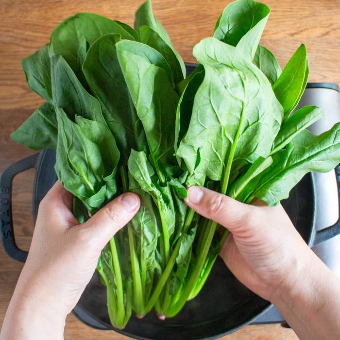 人が新鮮なほうれん草を両手で持っているシーン。